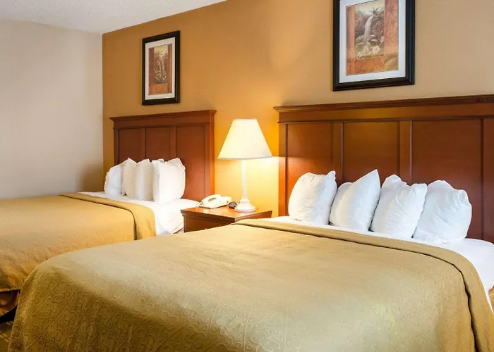 Quality Inn Louisville